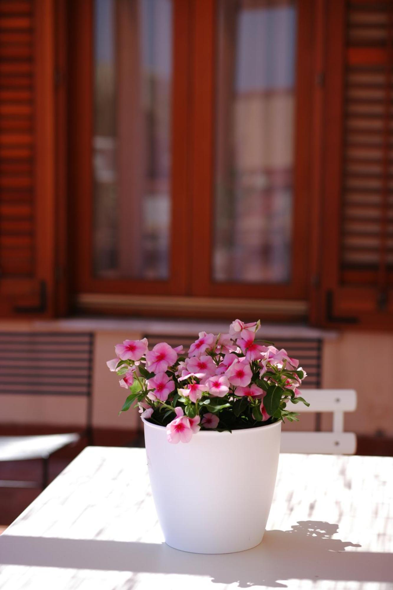 Scudaniglio Apartments Трапани Стая снимка